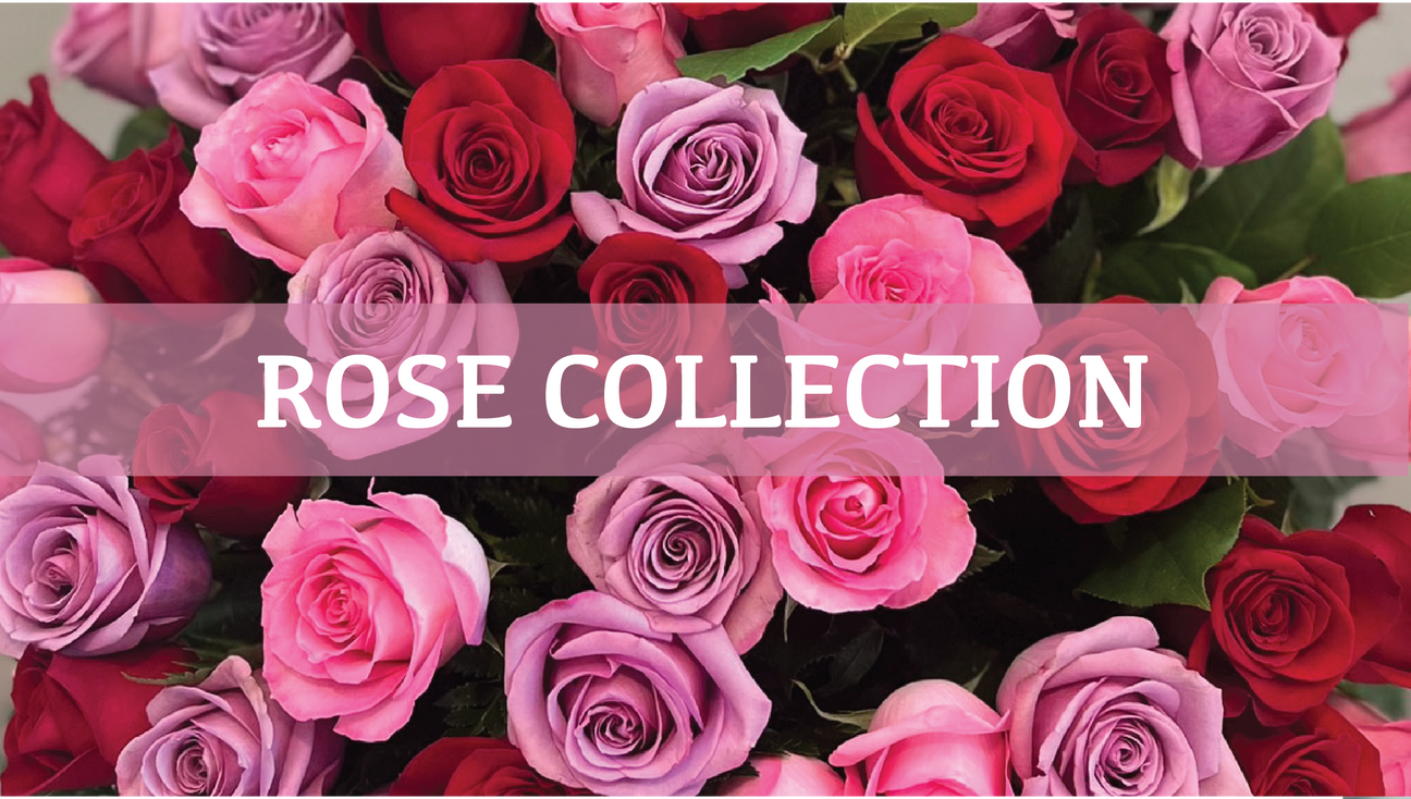 Rose Collection