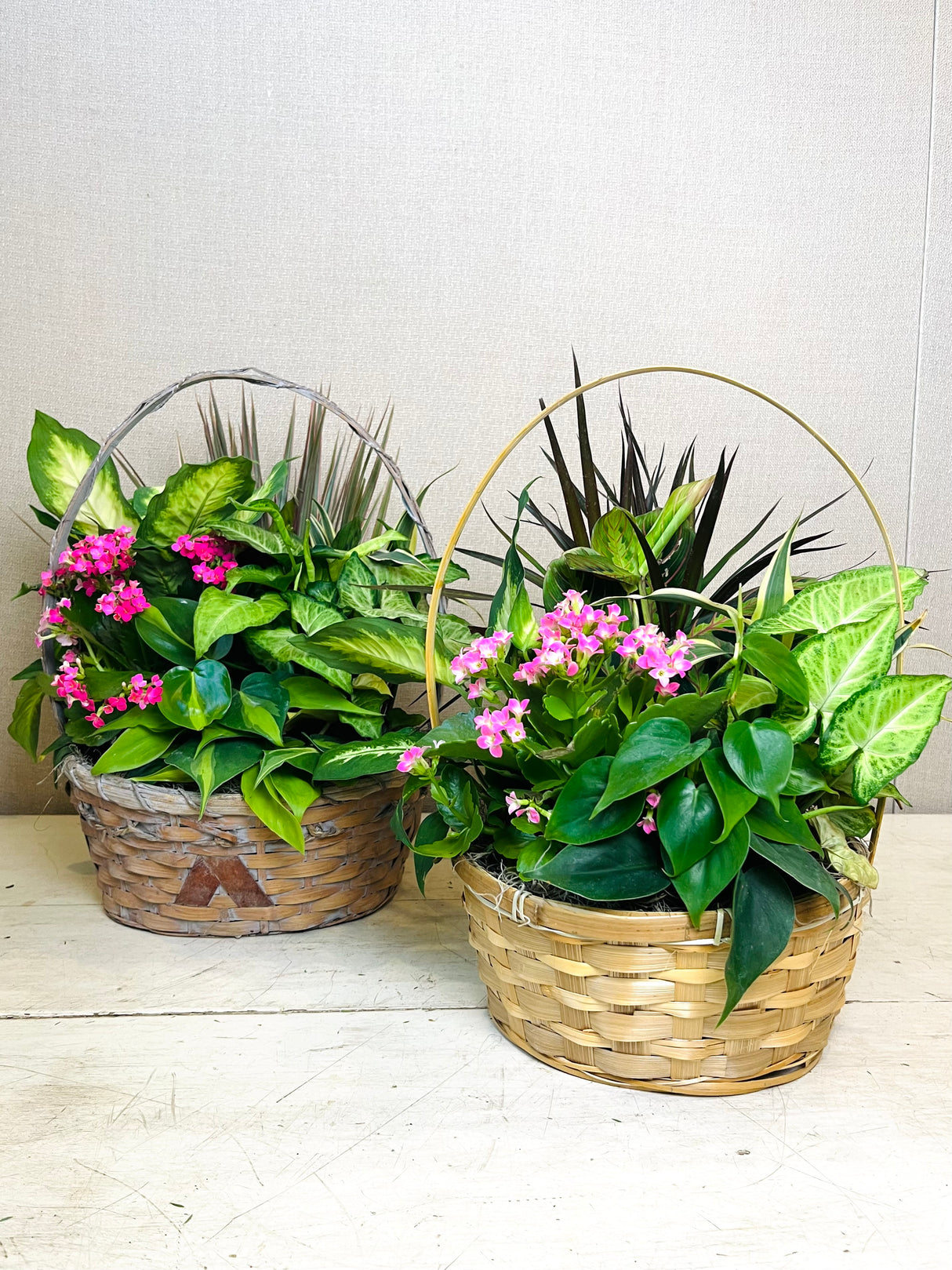 Florist Designed Blooming and Green Plants in a Basket