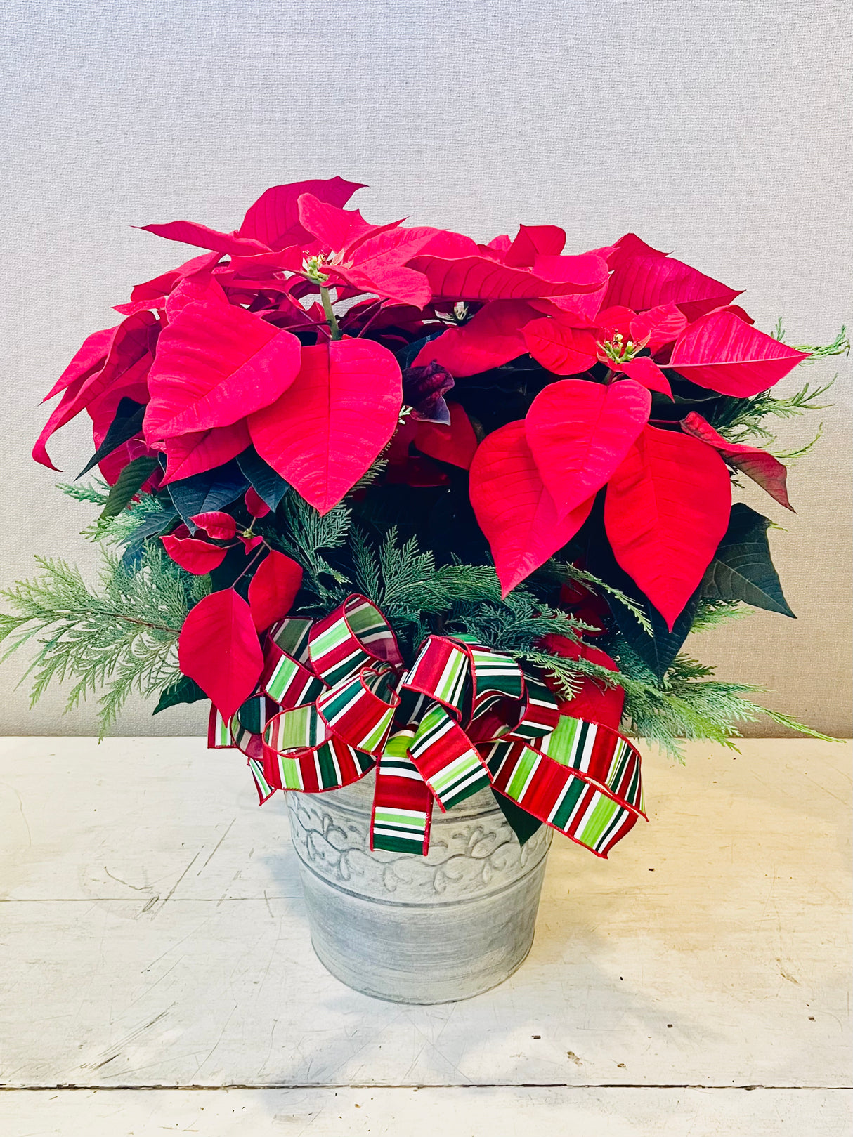 Red Poinsettia Basket