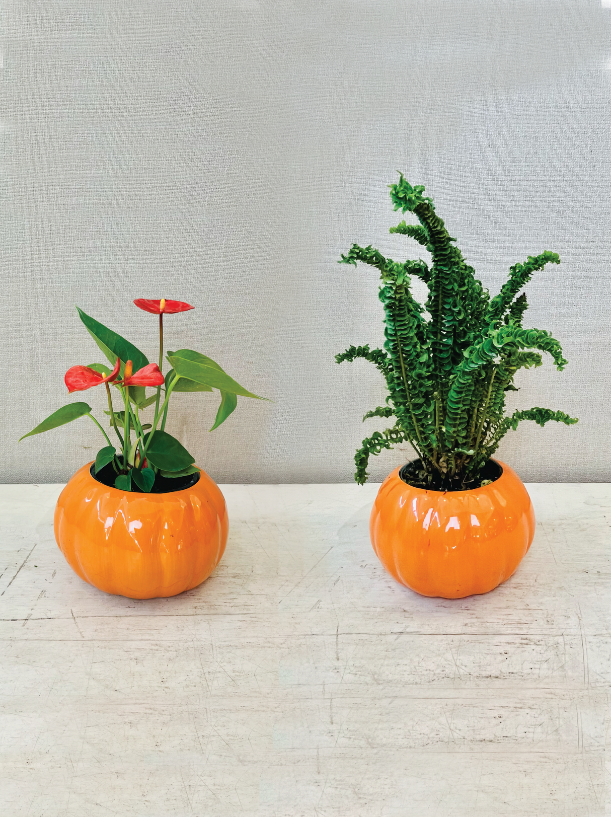 Fall Planters