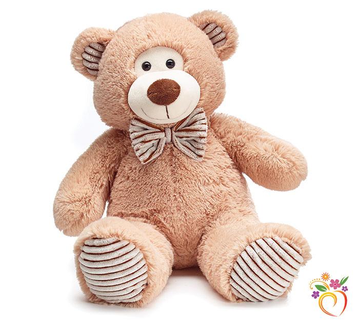 Plush Teddy Bear