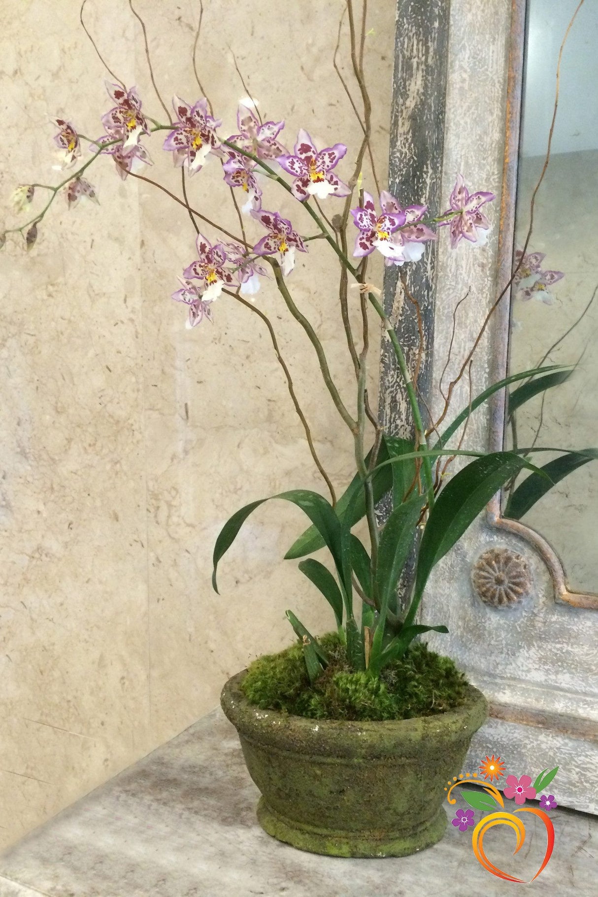 Orchid Planter