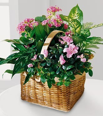 Pink Assortment Basket