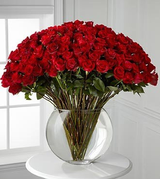 Breathless Luxury Rose Bouquet - 100 Stems 24in Premium Long-Stemmed Roses